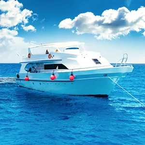 围绕黑白体育APP，黑白体育官网持续打磨更优质的服务。 - 黑白体育官网